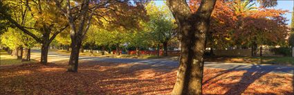 Finch Street - Beechworth - VIC H (PBH4 00 13927)